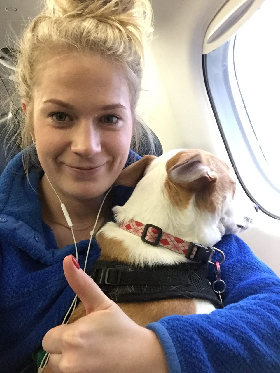 5 Tips for Traveling with Pets.