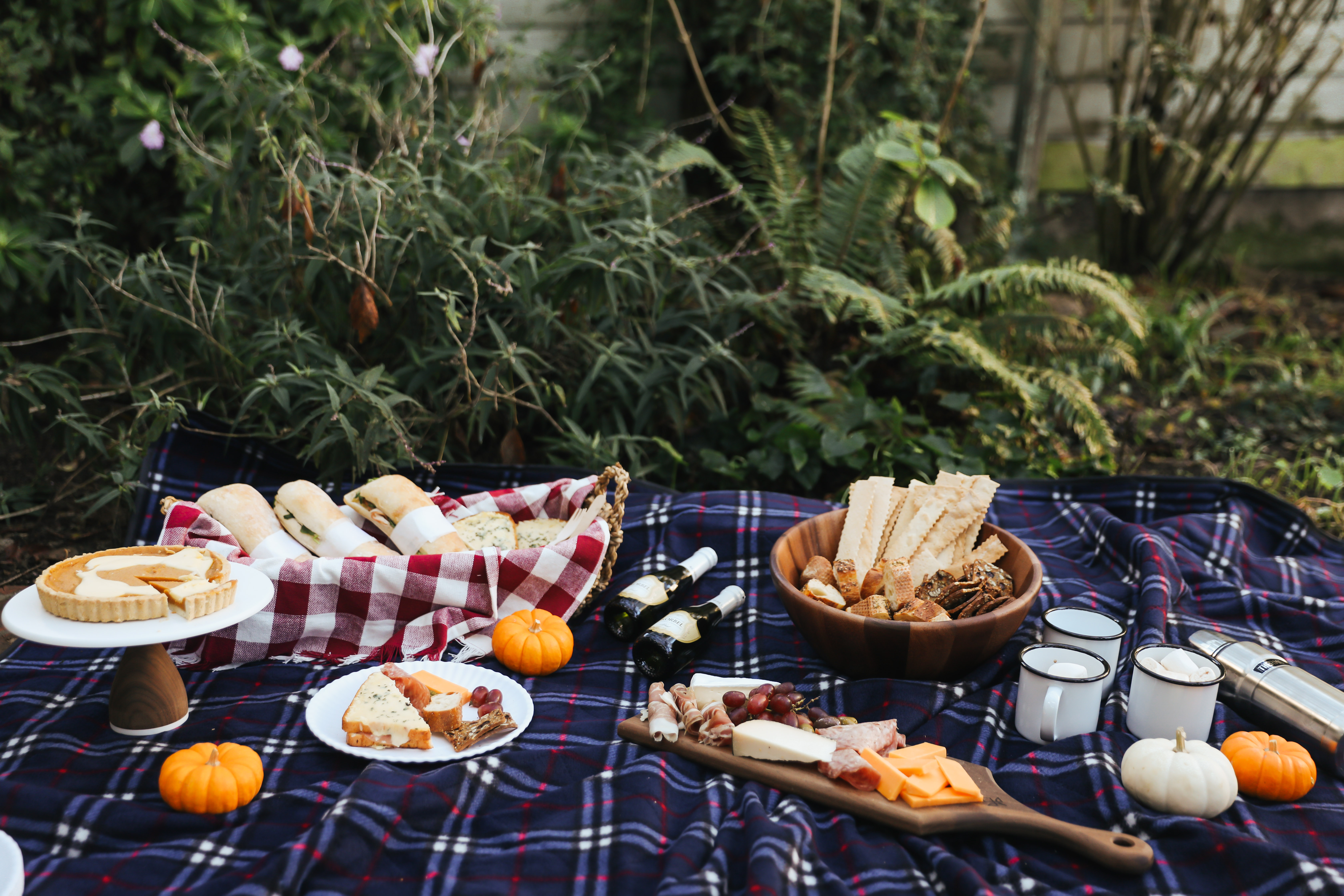 A Friendsgiving Picnic with Help from Uber.