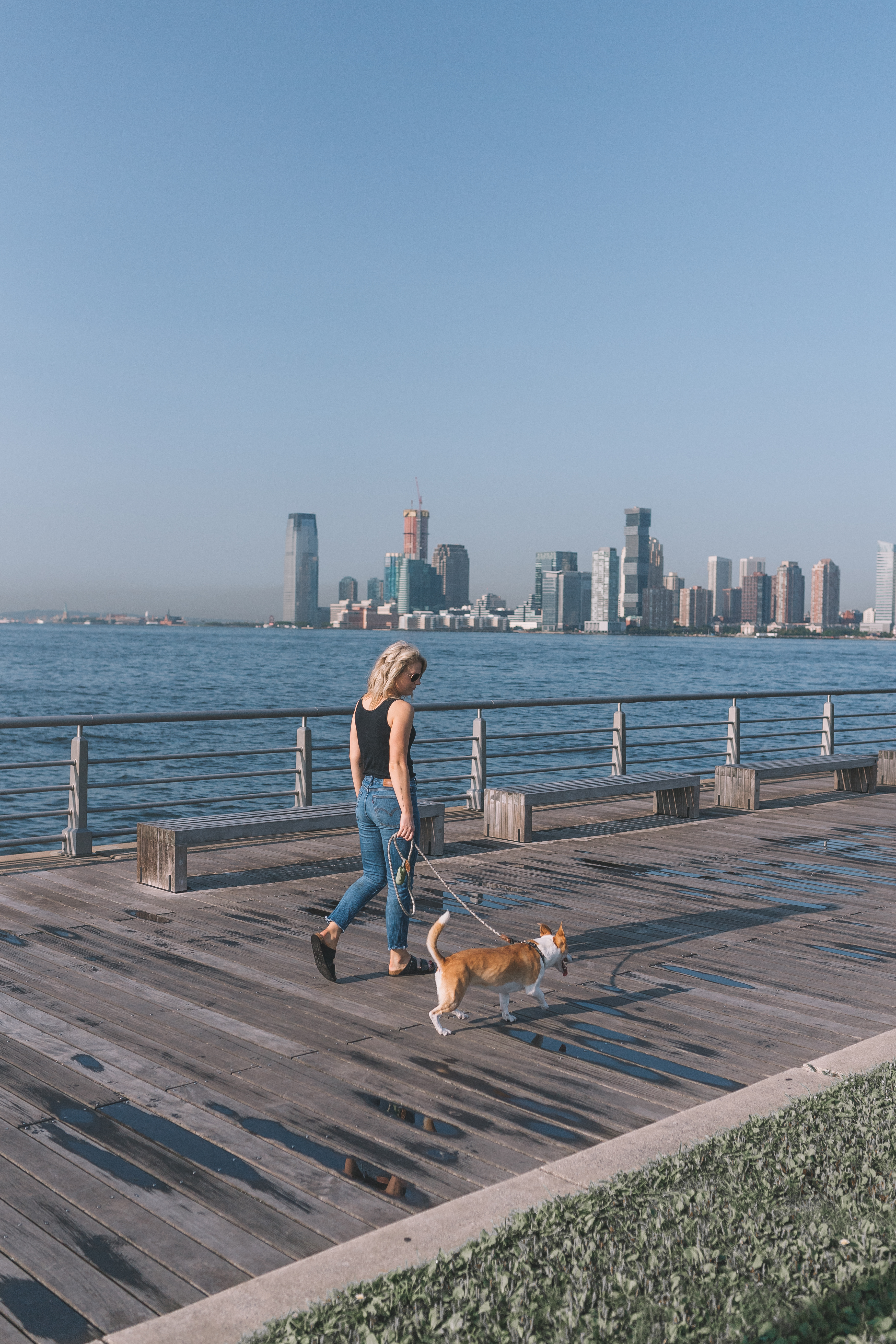 Favorite Dog-Friendly Spots in New York City.